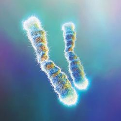 My-what-long-telomeres-you-have_1
