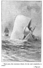 382px-Moby_Dick_p510_illustration1-318x500