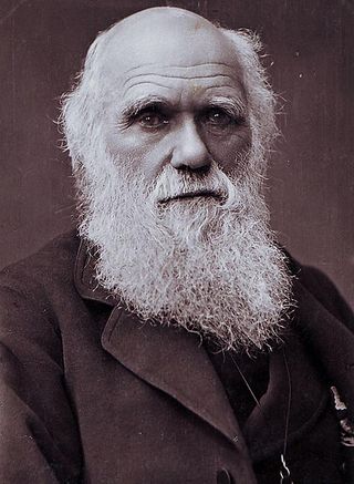 Charles_Darwin_photograph_by_Herbert_Rose_Barraud,_1881
