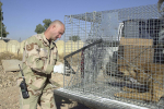 Soldier w rabid dog Iraq