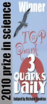 TOP-Quark-2010
