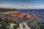 640px-Grand_Canyon_Beauty