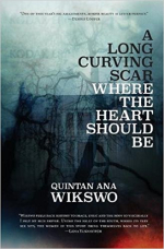 Long-curving-scar